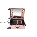 ProBeauty KC IST01L Makeup Case