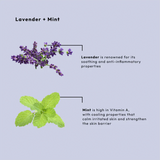 BCL Spa Organics 4-System Starter Kit - Lavender + Mint 16oz