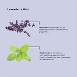 BCL Spa Organics 16oz Lavender + Mint - Soak